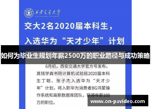 如何为毕业生规划年薪2500万的职业路径与成功策略