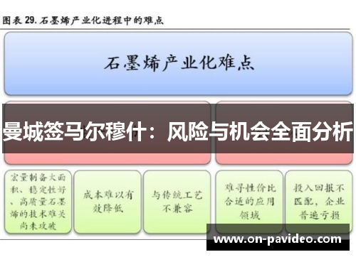 曼城签马尔穆什:风险与机会全面分析 曼城签马尔穆什:风险与机会全面分析