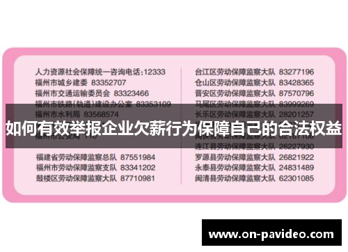 如何有效举报企业欠薪行为保障自己的合法权益