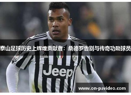 泰山足球历史上辉煌贡献者:桑德罗告别与传奇功勋球员 泰山足球历史上辉煌贡献者:桑德罗告别与传奇功勋球员