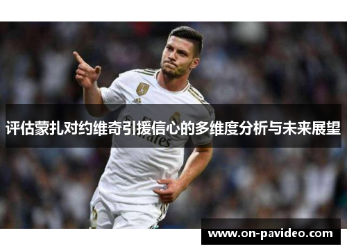 评估蒙扎对约维奇引援信心的多维度分析与未来展望