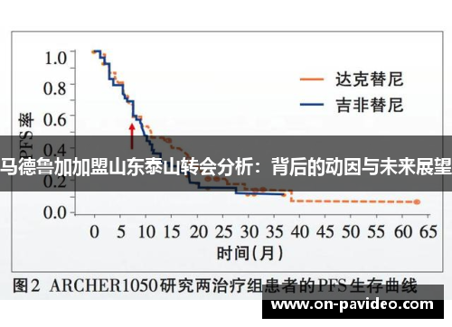 马德鲁加加盟山东泰山转会分析:背后的动因与未来展望