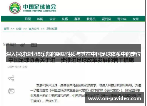 深入探讨建业俱乐部的组织性质与其在中国足球体系中的定位